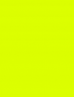 LIME NEON АКЦИЯ $5.00